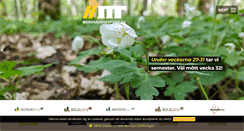 Desktop Screenshot of marknadsrespons.se